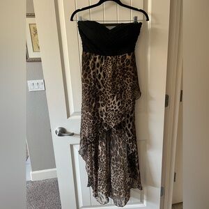 Leopard Print Black Dress